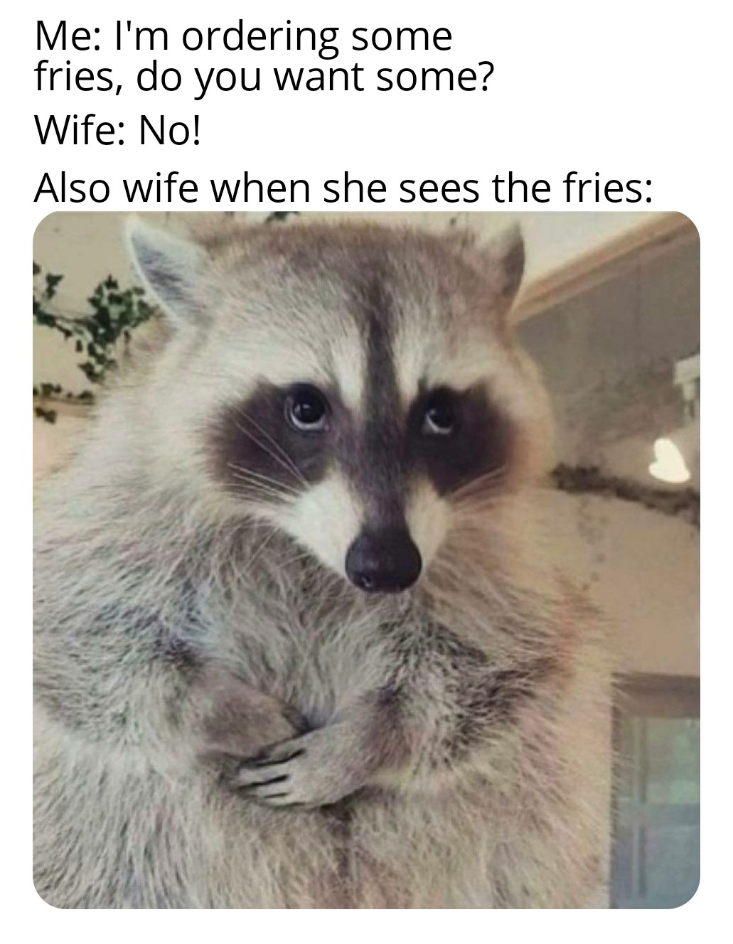 guilty raccoon - Me I'm ordering some fries, do you want some? Wife No! Also wife when she sees the fries