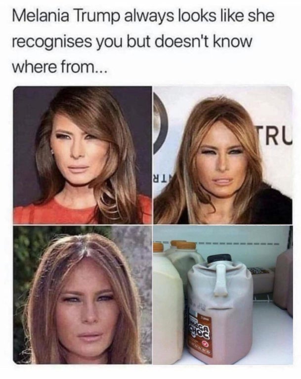 melania trump meme - Melania Trump always looks she recognises you but doesn't know where from... Tru 1