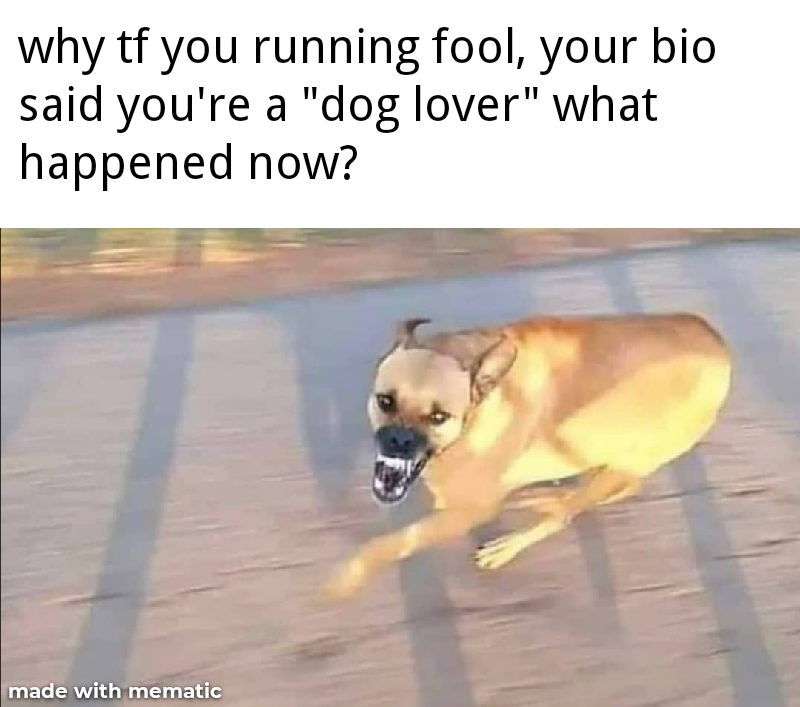 dog - why tf you running fool, your bio said you're a "dog lover" what happened now? made with mematic