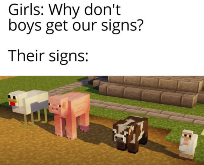 minecraft memes - Girls Why don't boys get our signs? Their signs