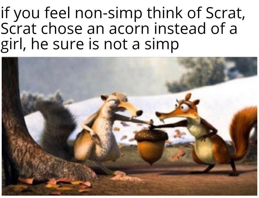 scrat was the ultimate non simp - if you feel nonsimp think of Scrat, Scrat chose an acorn instead of a girl, he sure is not a simp