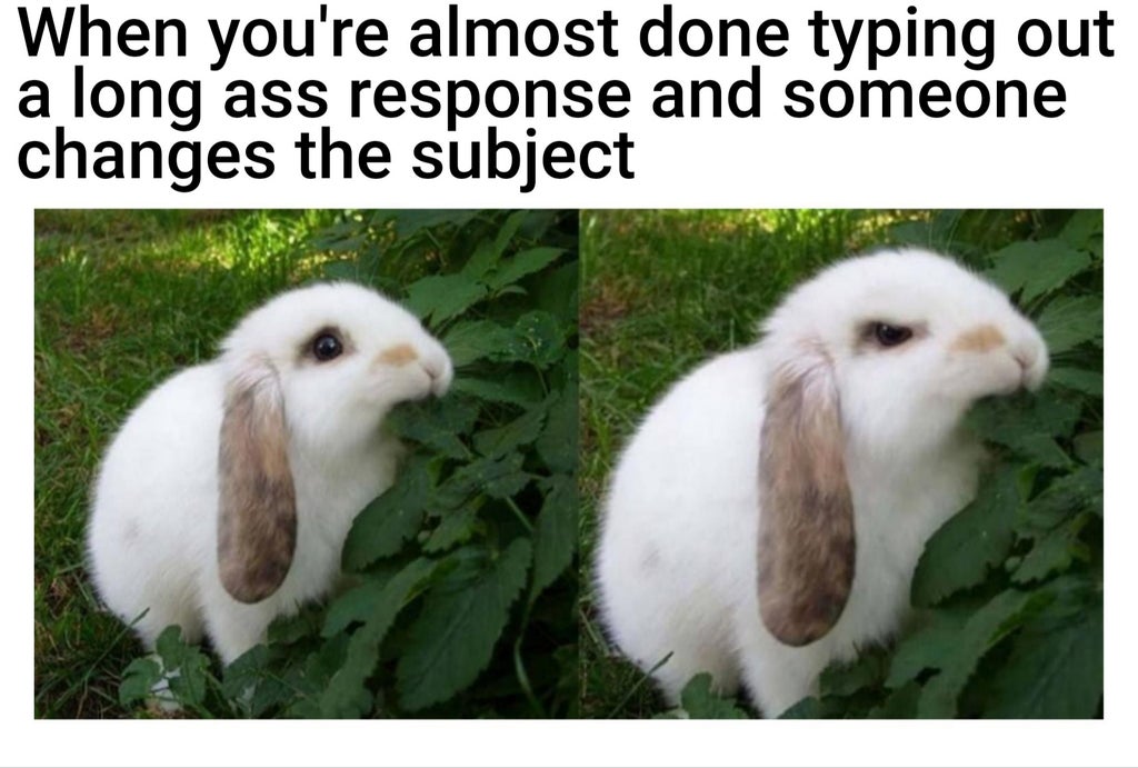 memes funny - When you're almost done typing out a long'ass response and someone changes the subject