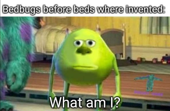 funny dank memes - just standing there meme - Bedbugs before beds where invented What am I?