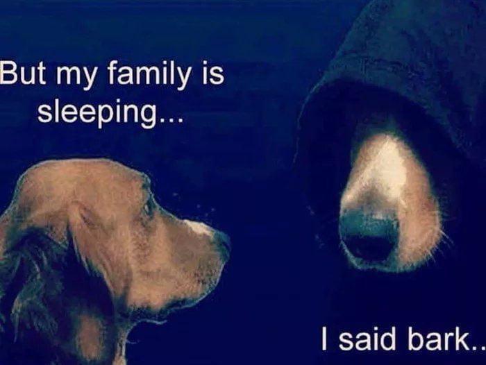 funny dank memes - But my family is sleeping... I said bark..