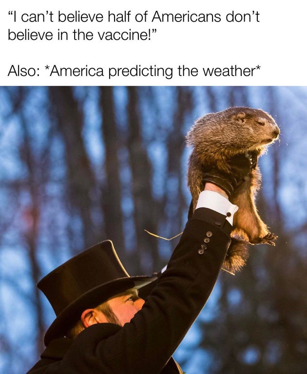 funny dank memes - I can't believe half of americans don't believe in the vaccine. also: america predicting the weather punxsutawney phil