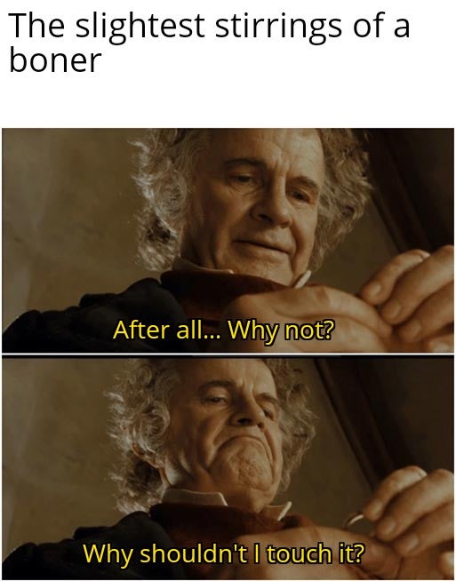 funny dank memes - The slightest stirrings of a boner After all... Why not? Why shouldn't I touch it?