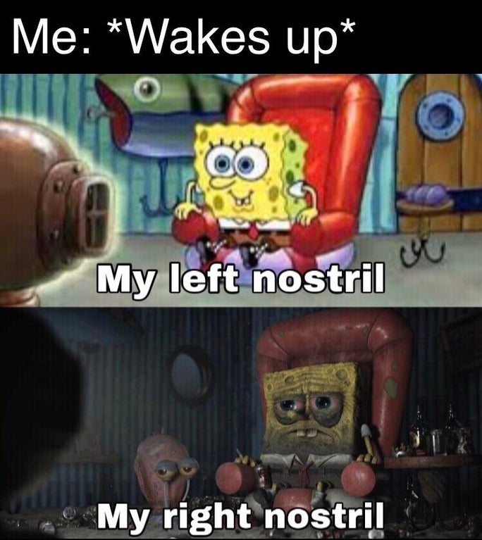 spongebob funny quotes - Me Wakes up My left nostril My right nostril