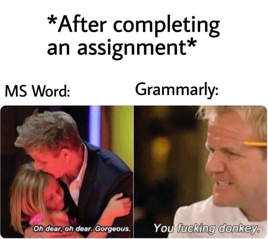umbrella academy memes - After completing an assignment Ms Word Grammarly Oh dear, oh dear. Gorgeous. You fucking donkey