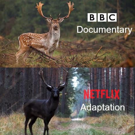 wildlife - Bbc Documentary Adaptation