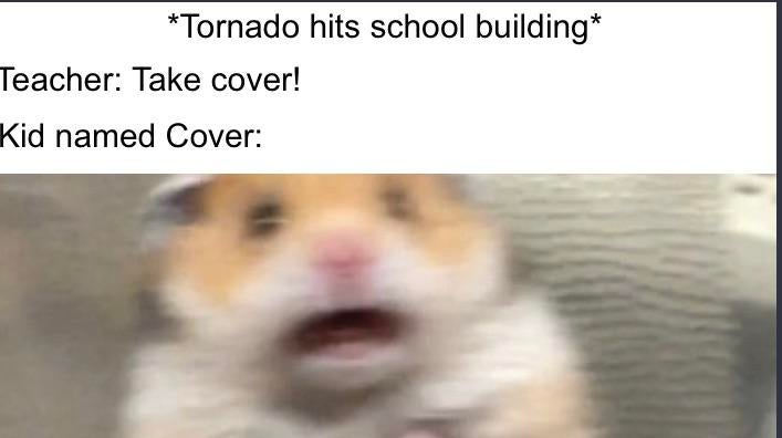 fauna - Tornado hits school building Teacher Take cover! Kid named Cover
