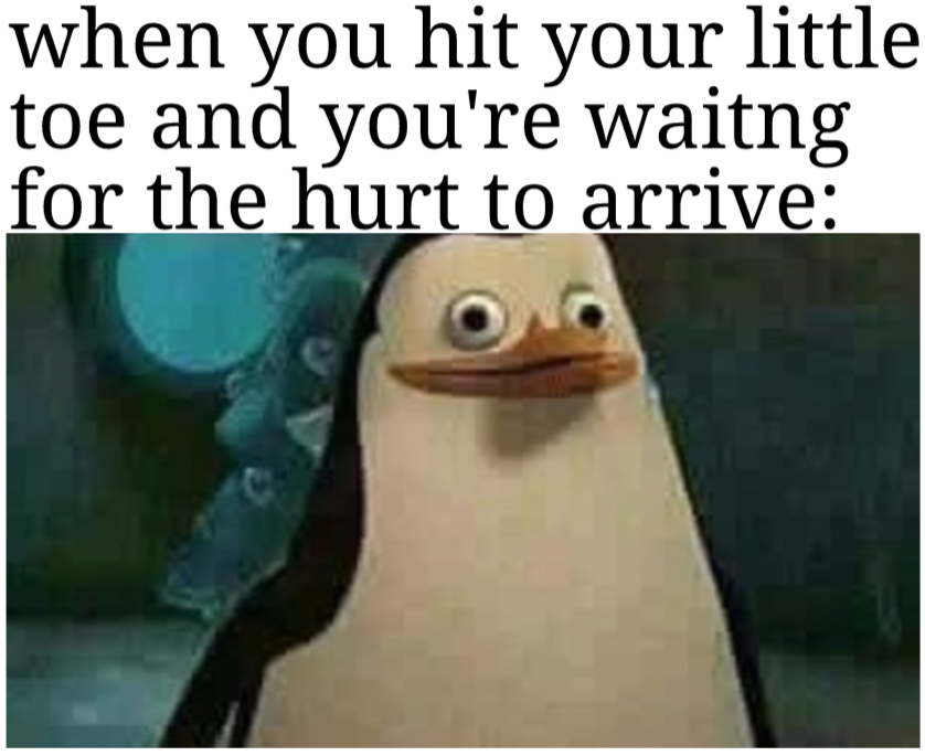 funny dank memes - penguin - when you hit your little toe and you're waitng for the hurt to arrive