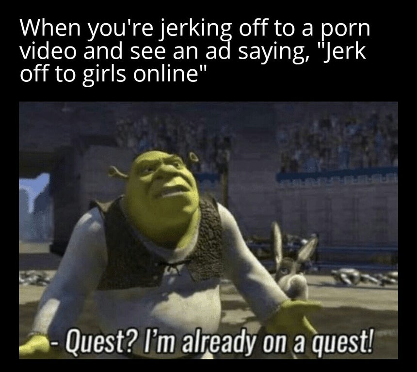 funny dank memes - When you're jerking off to a porn video and see an ad saying, jerk off to girls online. a quest? I'm already on a quest