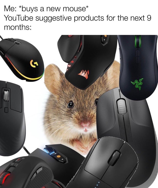 funny dank memes - mouse - Me buys a new mouse YouTube suggestive products for the next 9 months