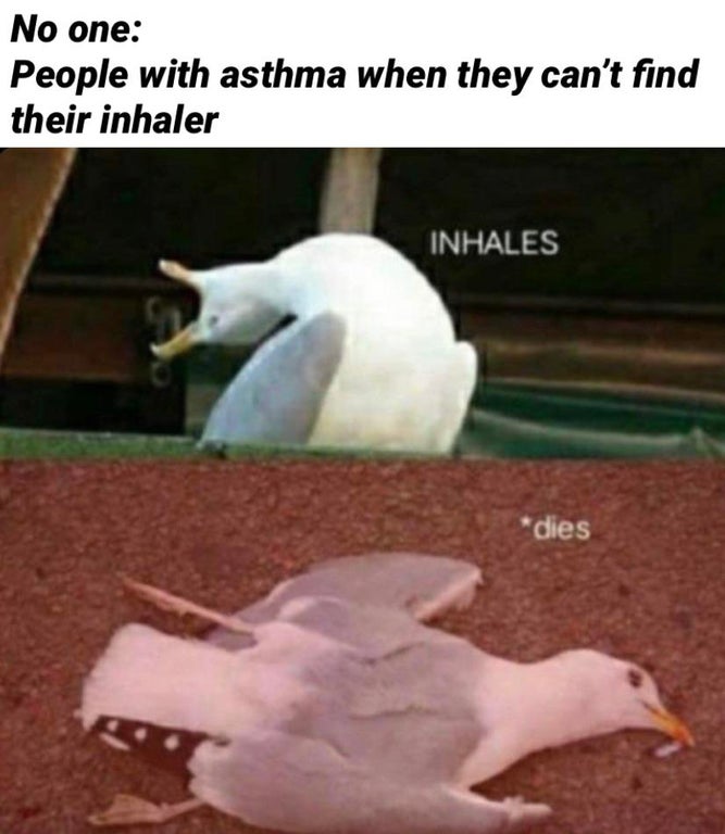 arctic monkeys 505 meme - No one People with asthma when they can't find their inhaler Inhales dies