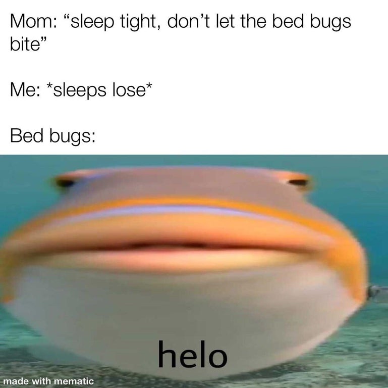 henlo meme fish - Mom "sleep tight, don't let the bed bugs bite" Me sleeps lose Bed bugs helo made with mematic