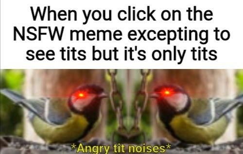 fauna - When you click on the Nsfw meme excepting to see tits but it's only tits Angry tit noisest