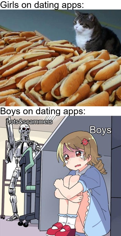 cat hot dog meme - Girls on dating apps Boys on dating apps bots&scammers Boys