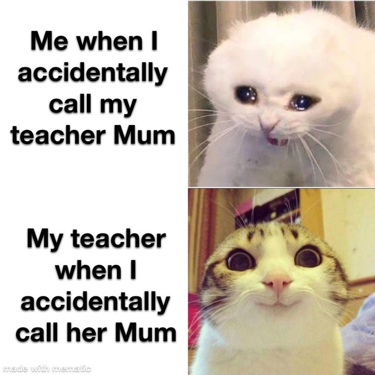 he gets you food meme - Me when I accidentally call my teacher Mum My teacher when I accidentally call her Mum made with mematic