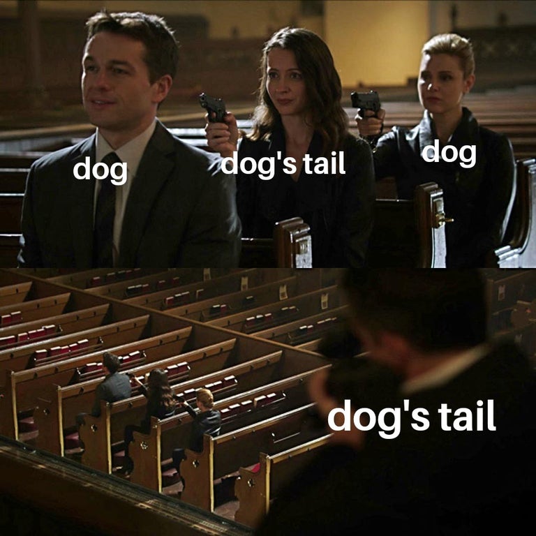 xbox ps5 pc meme - dog dog dog's tail dog's tail