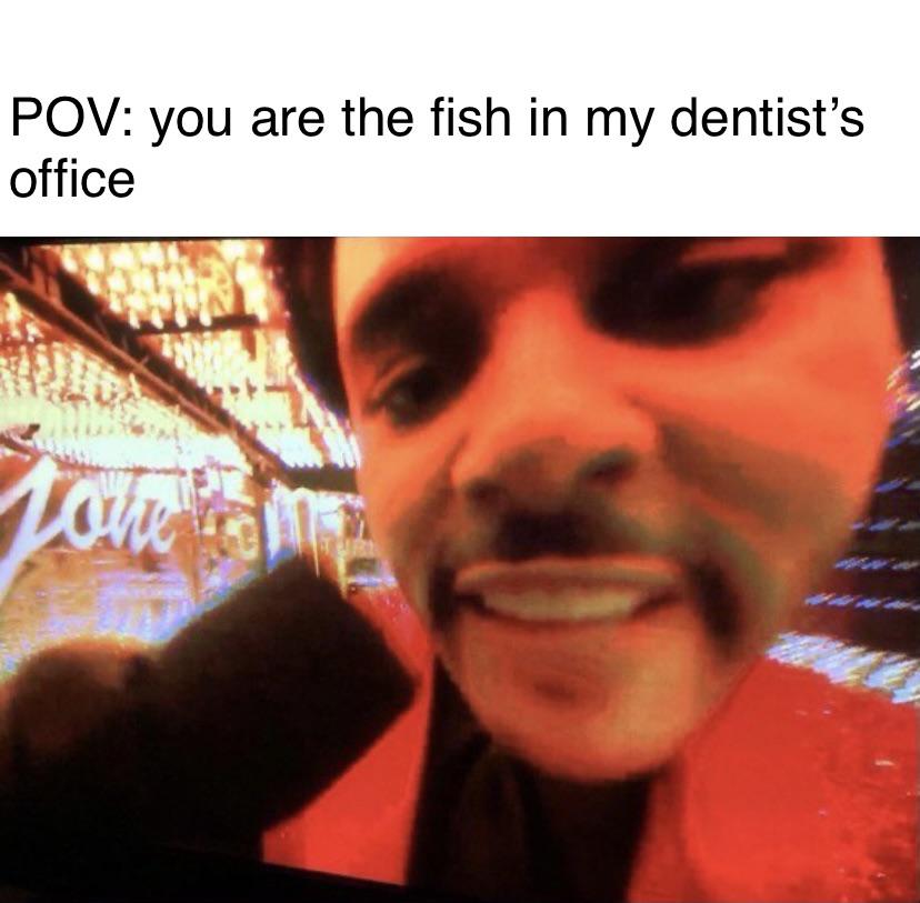photo caption - Pov you are the fish in my dentist's office Lone