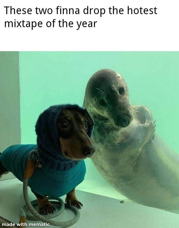 seal sausage - These two finna drop the hotest mixtape of the year made with mematic