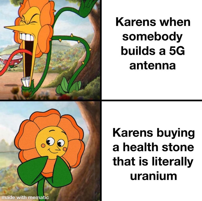 synthetic left - Karens when somebody builds a 5G antenna Karens buying a health stone that is literally uranium made with mematic