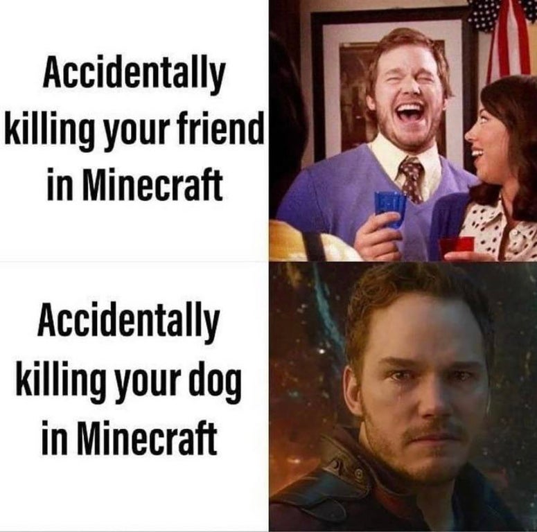 minecraft memes dank and funny - Accidentally killing your friend in Minecraft Accidentally killing your dog in Minecraft