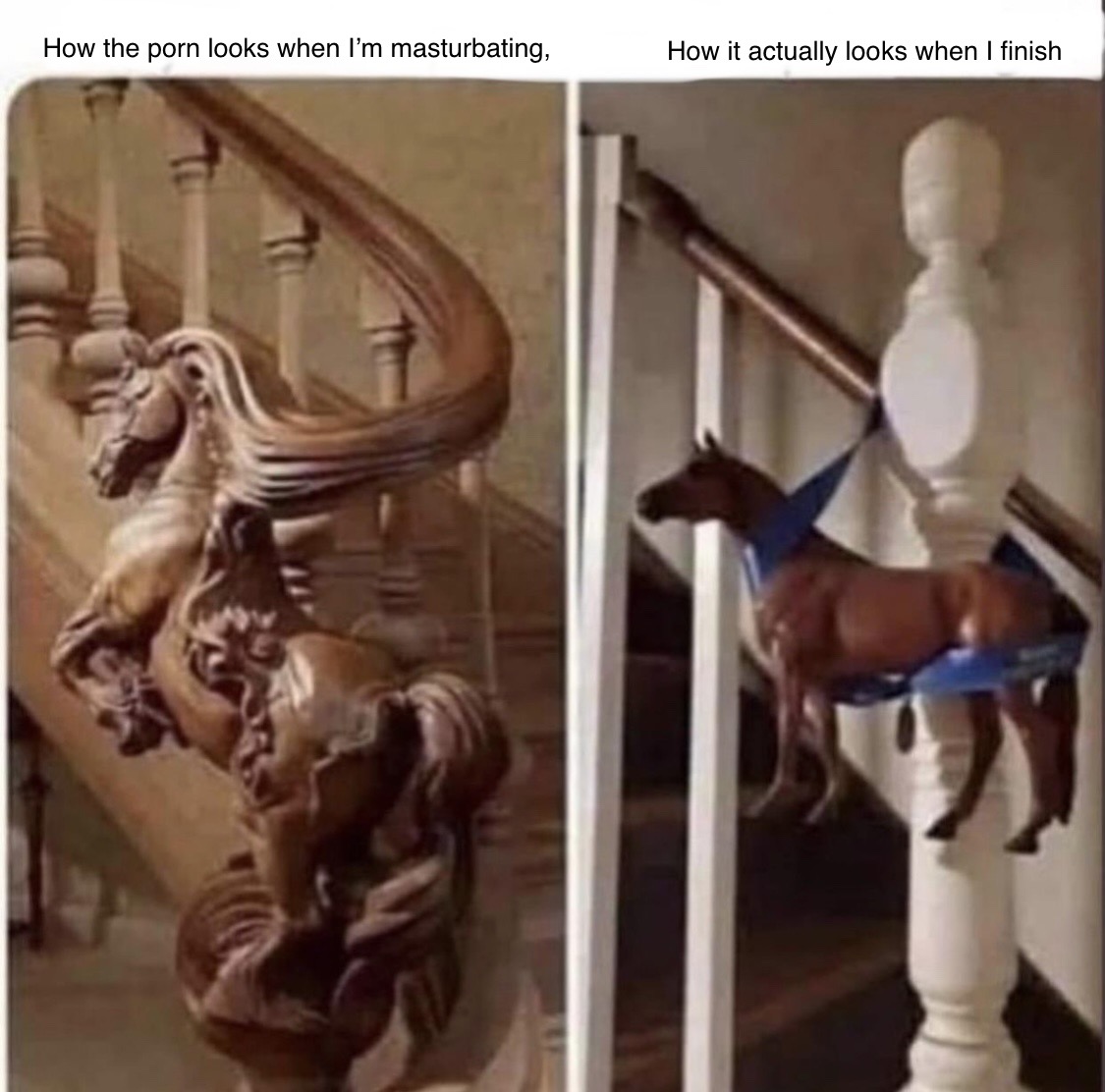 horse stair rail meme - How the porn looks when I'm masturbating, How it actually looks when I finish