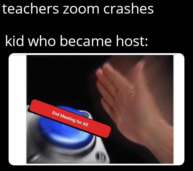 hand - teachers zoom crashes kid who became host End Meeting for All