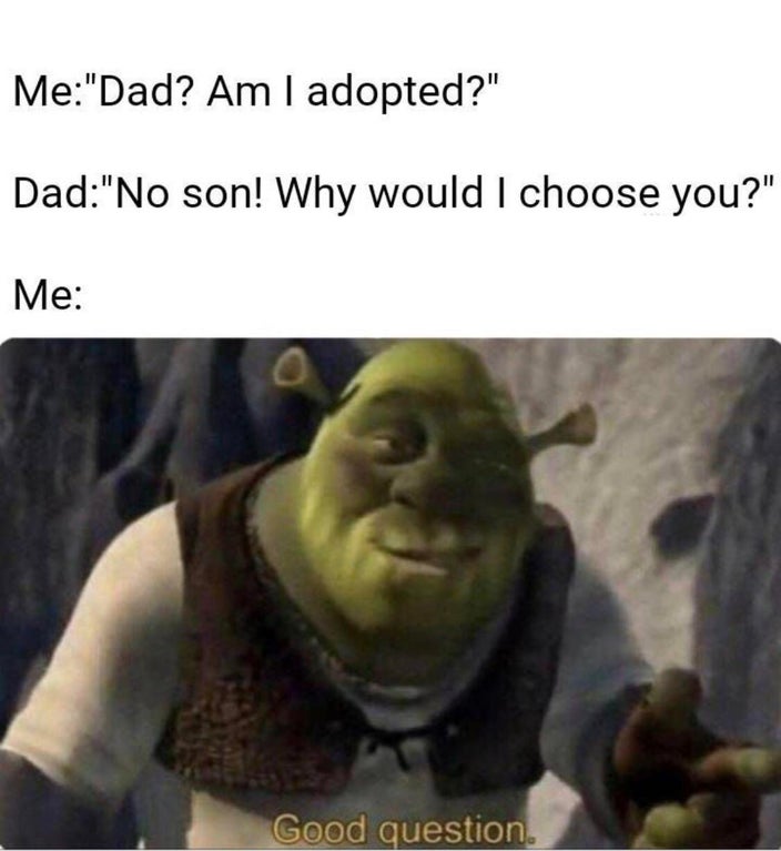 reddit memes 2020 - Me"Dad? Am I adopted?" Dad"No son! Why would I choose you?" Me Good question
