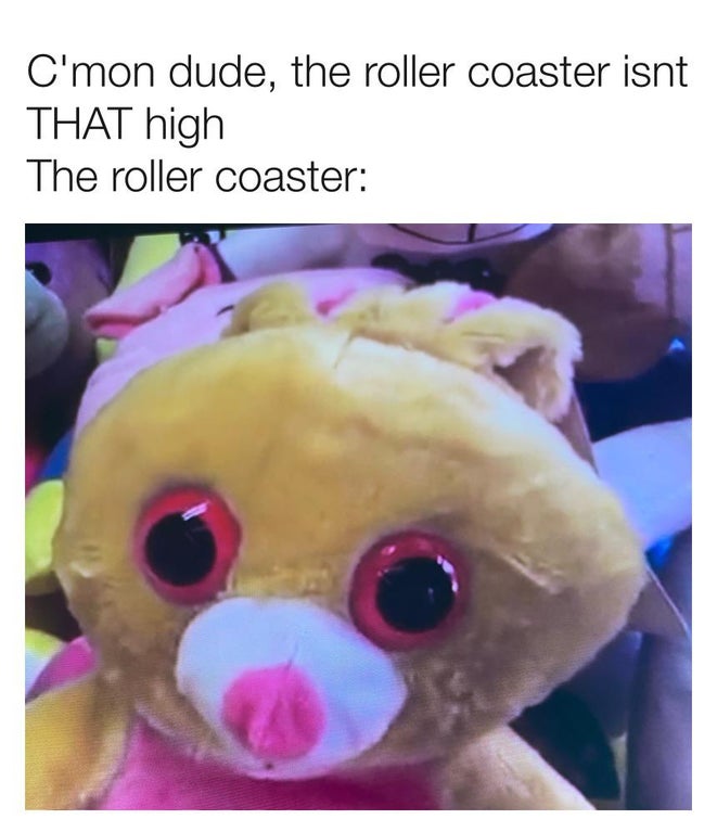 plush - C'mon dude, the roller coaster isnt That high The roller coaster