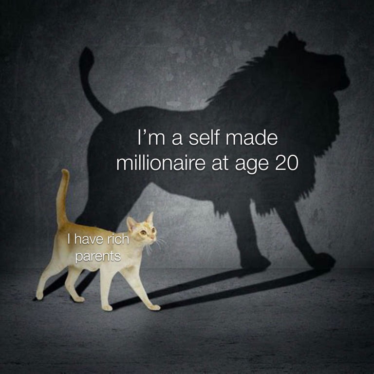 cat lion shadow - I'm a self made millionaire at age 20 I have rich parents