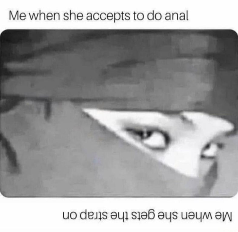 flip your phone meme - Me when she accepts to do anal Me when she gets the strap on