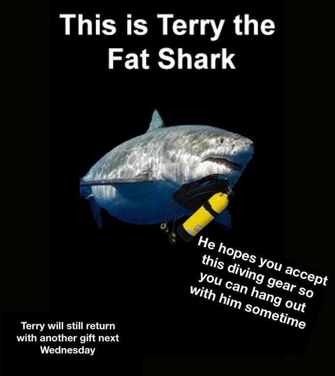 funny memes and dank memes - fish - This is Terry the Fat Shark He hopes you accept this diving gear so you can hang out with him sometime Terry will still return with another gift next Wednesday
