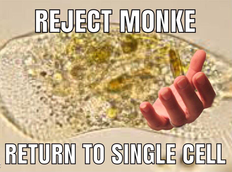 funny memes and dank memes - hand - Reject Monke Return To Single Cell