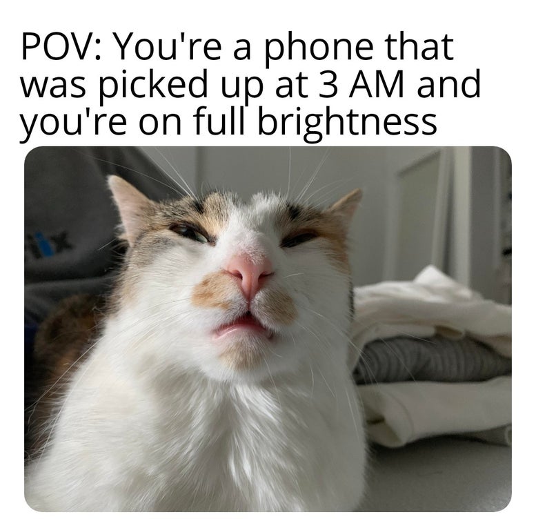 funny memes and dank memes - google flight search - Pov You're a phone that was picked up at 3 Am and you're on full brightness