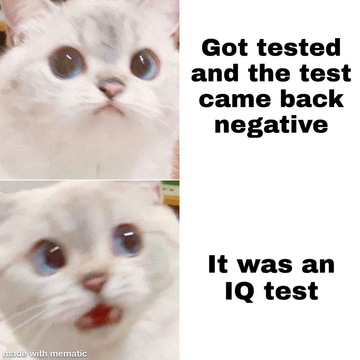 funny memes and dank memes - photo caption - Got tested and the test came back negative It was an Iq test made with mematic