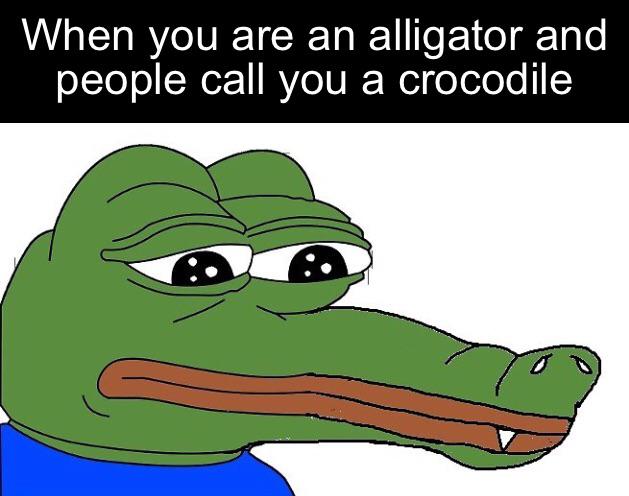 meme frog - When you are an alligator and people call you a crocodile