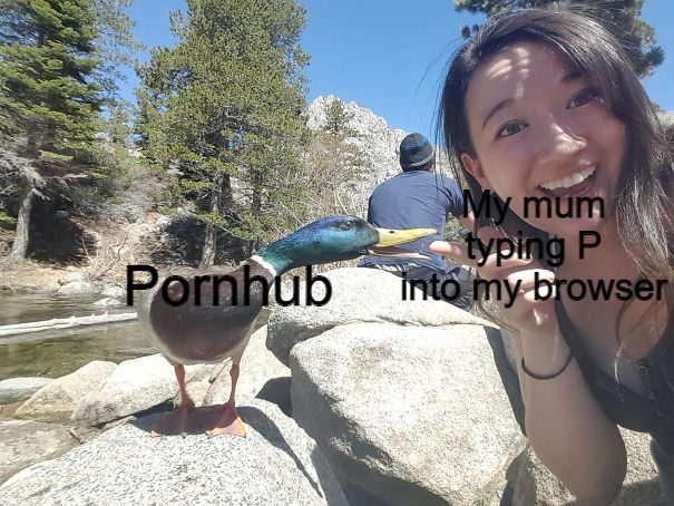 taken before death - My mum typing P into my browser Pornhub