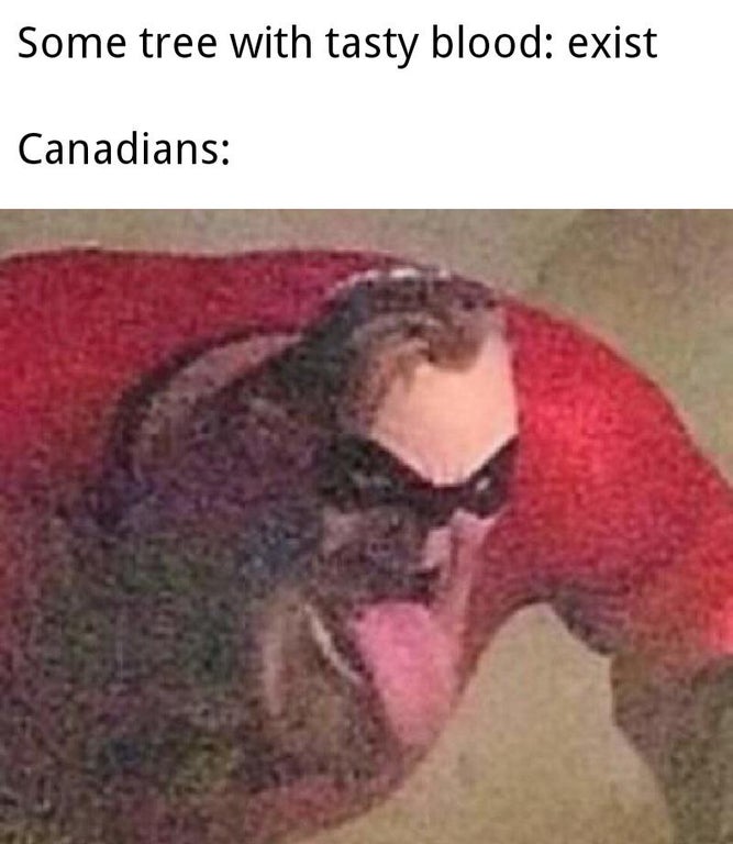 thicc boi memes - Some tree with tasty blood exist Canadians