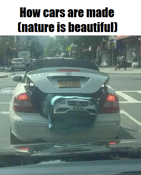 funny memes -- birth of a mercedes - How cars are made nature is beautiful