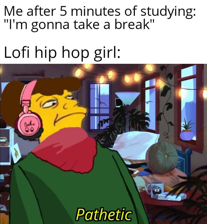 funny memes - Me after 5 minutes of studying - lofi hip hop girl: pathetic