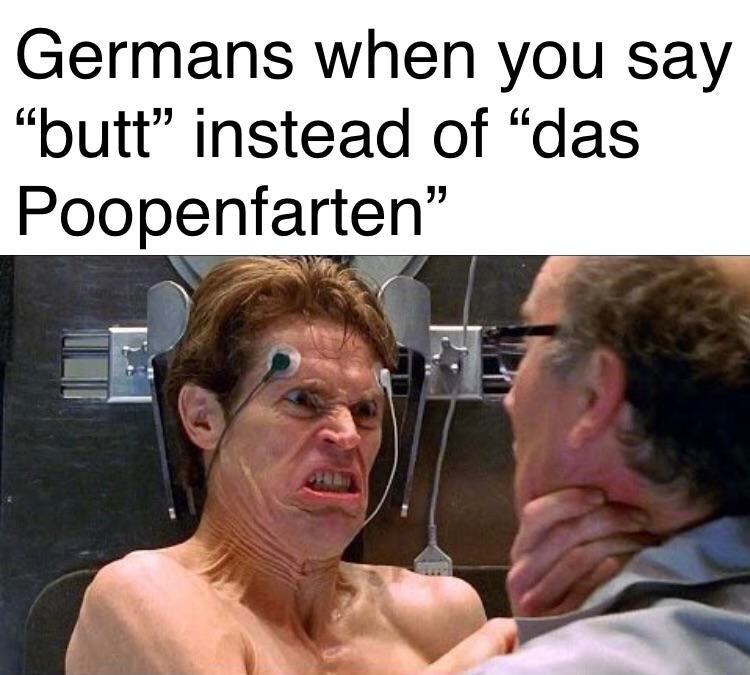 funny memes - Germans when you say butt instead of das poopenfarten