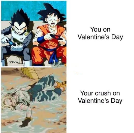 funny memes - You on Valentine's Day Your crush on Valentine's Day