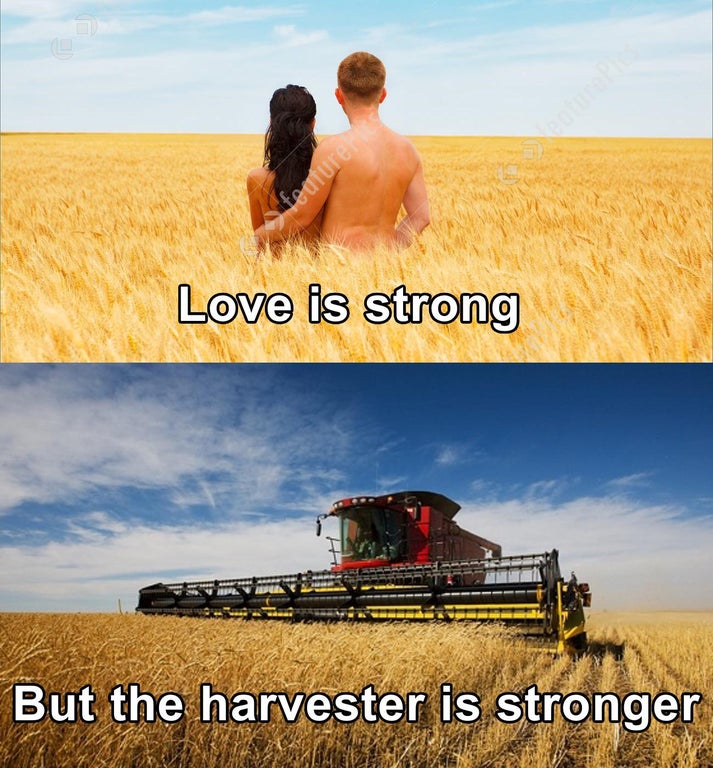 funny memes - Love is strong But the harvester is stronger