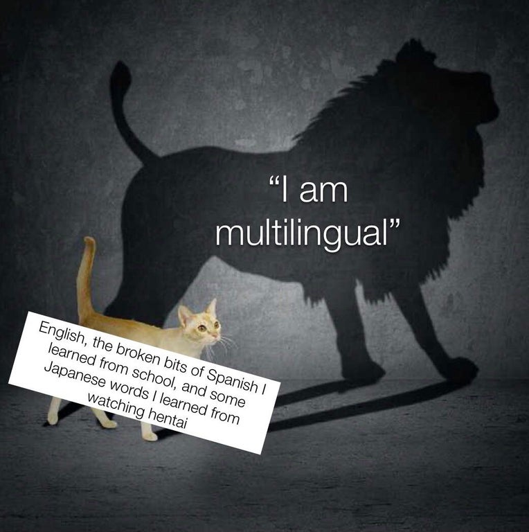 cat lion shadow meme template - "I am multilingual" English, the broken bits of Spanish! learned from school, and some Japanese words I learned from watching hentai