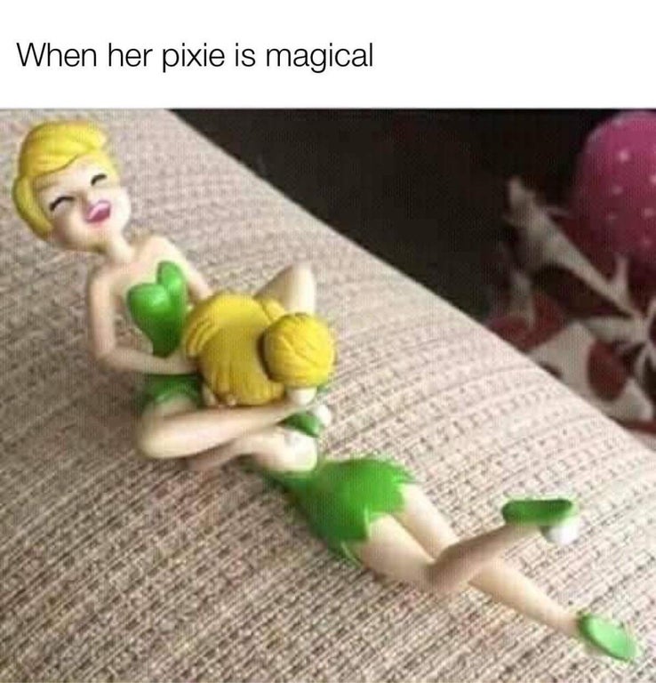 figurine - When her pixie is magical