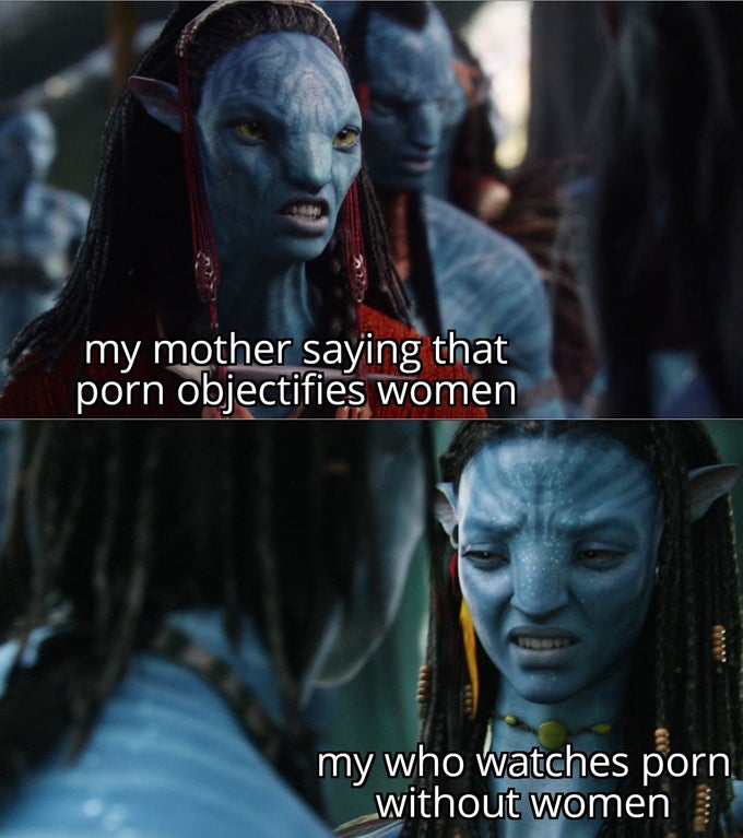 jake and neytiri meme - my mother saying that porn objectifies women my who watches porn without women