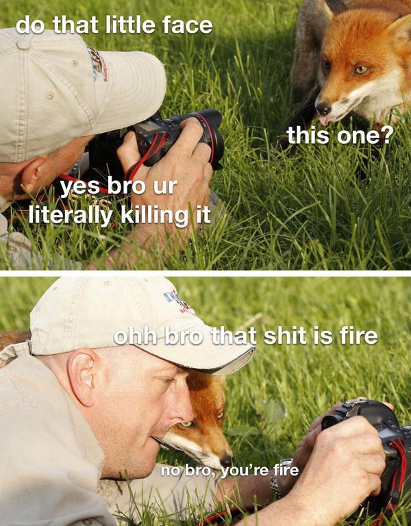 photographers with animals - do that little face D this one? yes bro ur literally killing it ohh bro that shit is fire no bro, you're fire