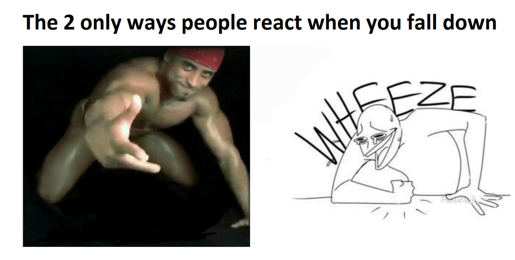 well written joke meme - The 2 only ways people react when you fall down Wheeze